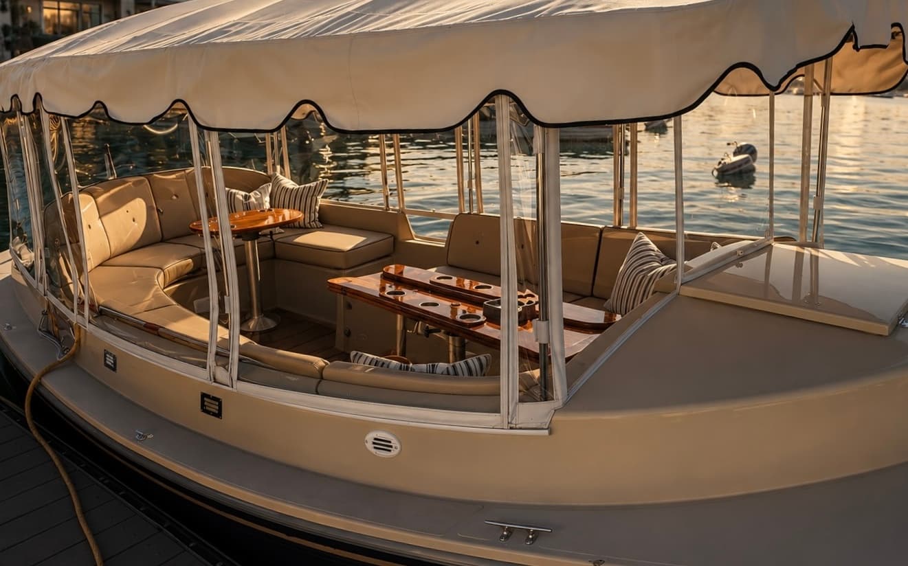 Duffy isinglass window enclosure — tan surrey top and clear panels at Newport marina